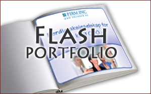 Flash Portfolio